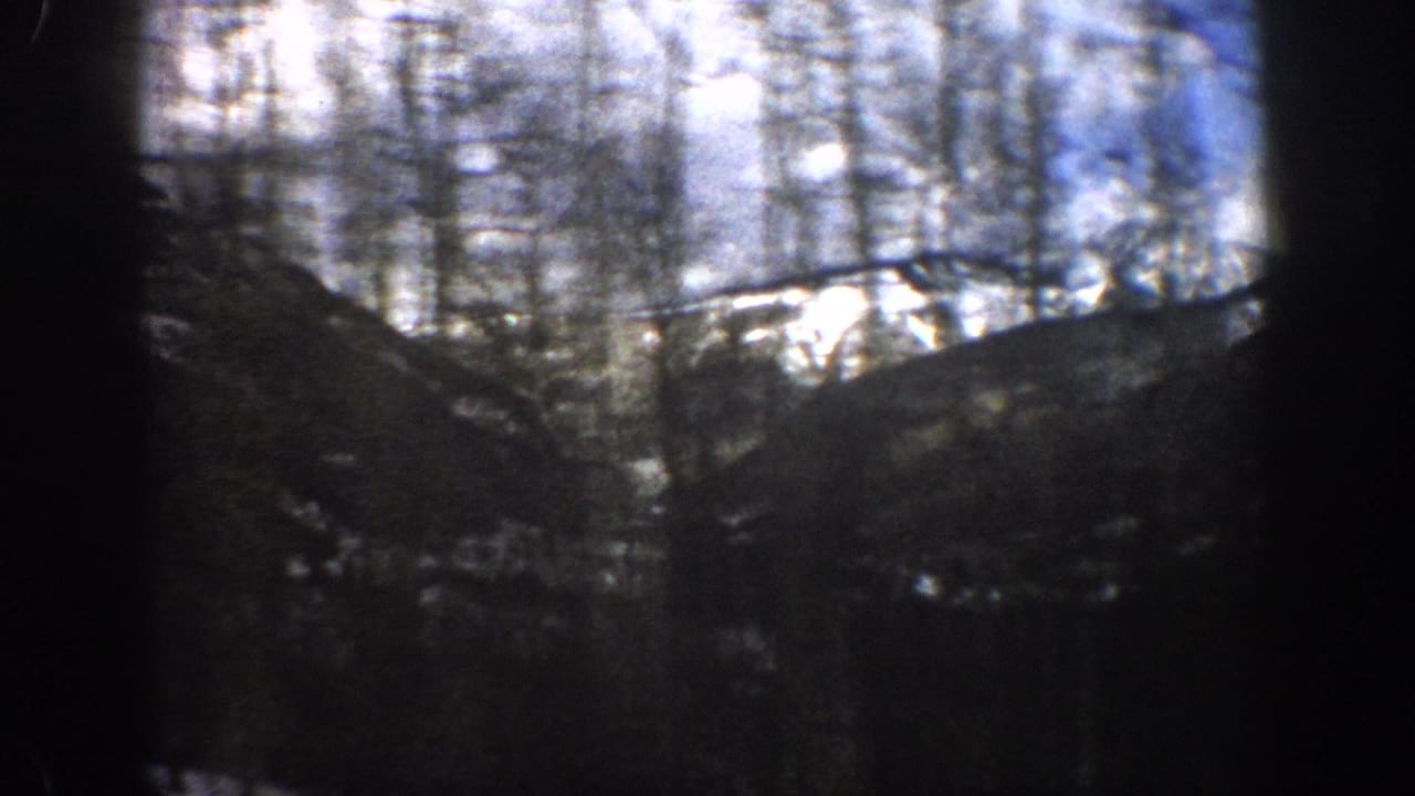 Aspen, Colorado home-movie view of a dark wooded slope, snowy ground, bare trunks, and distant bright peaks.