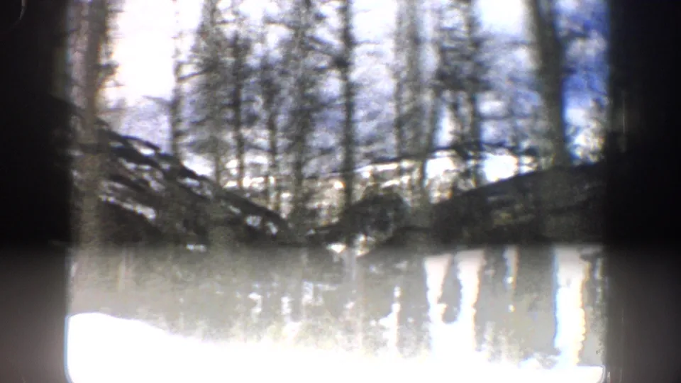 Handheld 8mm frame from the Aspen, Colorado clip with winter trees, snow, dark hillside, and bright distant mountains.