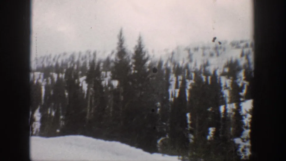 1961 8mm Aspen-area mountain frame showing a snow-covered forest slope, conifers, pale sky, and visible film specks.