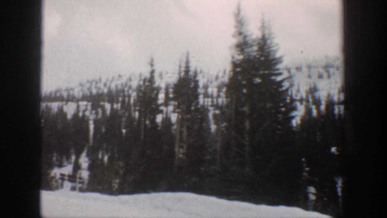Snowy forested slope with evergreen trees and dark film-frame edges.