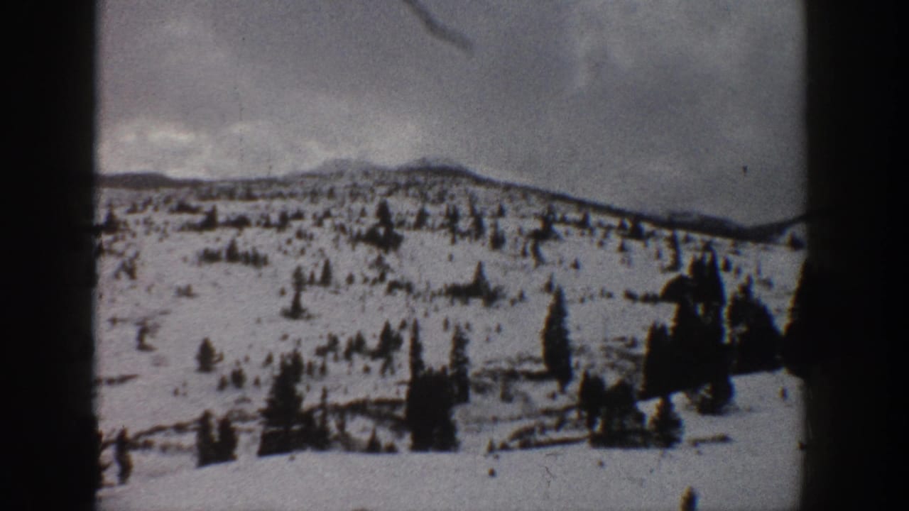 Snow-covered hillside with evergreen trees and a dark vertical film edge.