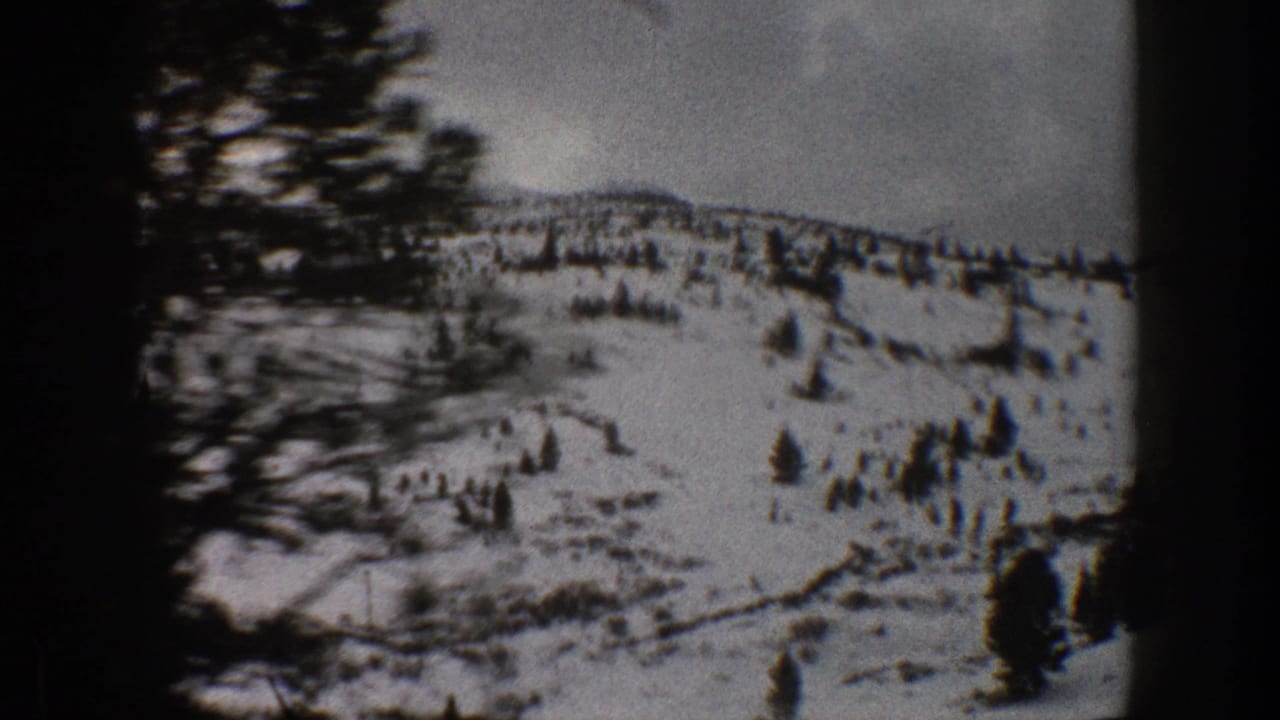 Snowy hillside passes behind a blurred dark tree trunk in the foreground.