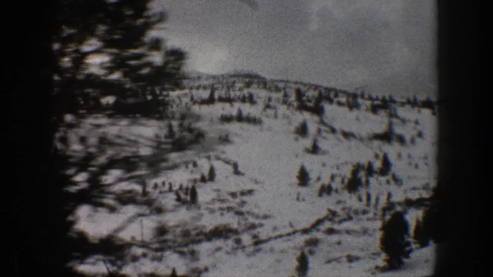 1961 Aspen-area 8mm frame with a blurred roadside tree crossing a snowy evergreen-dotted hillside.
