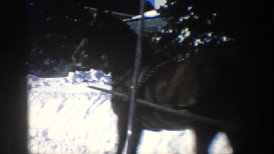 A partial close view shows the horse-drawn sleigh alongside the car, framed by windshield edges and bright snowbanks.