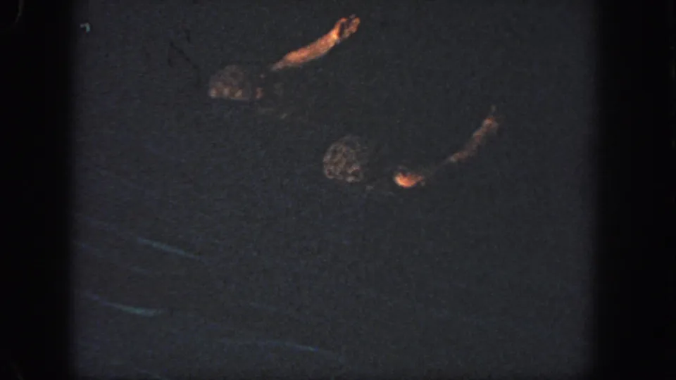 1951 Atlanta synchronized swimming frame with swimmers extending arms above the dark pool surface.