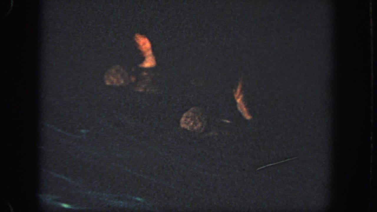 In 1951 Atlanta home-movie footage, two swimmers move through a dark pool with arms lifted in a synchronized swimming pose.