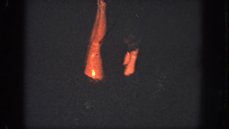 A swimmer's leg rises vertically while another leg appears nearby in the dark pool, matching the 1951 Atlanta synchronized swimming metadata.