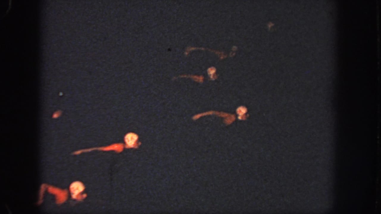 1951 Atlanta home-movie frame showing swimmers spread across dark nighttime pool water, one red-toned suit or float standing out.