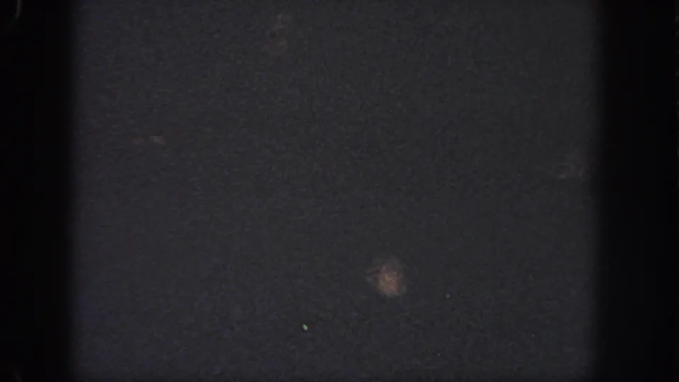 Grainy nighttime pool frame from the 1951 Atlanta home movie, with a small blurred figure or highlight in the water.