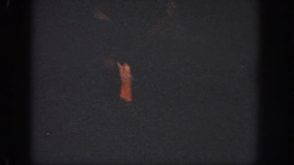 Small indistinct swimmer-like form or object appears against dark water in the 1951 Atlanta home-movie frame.
