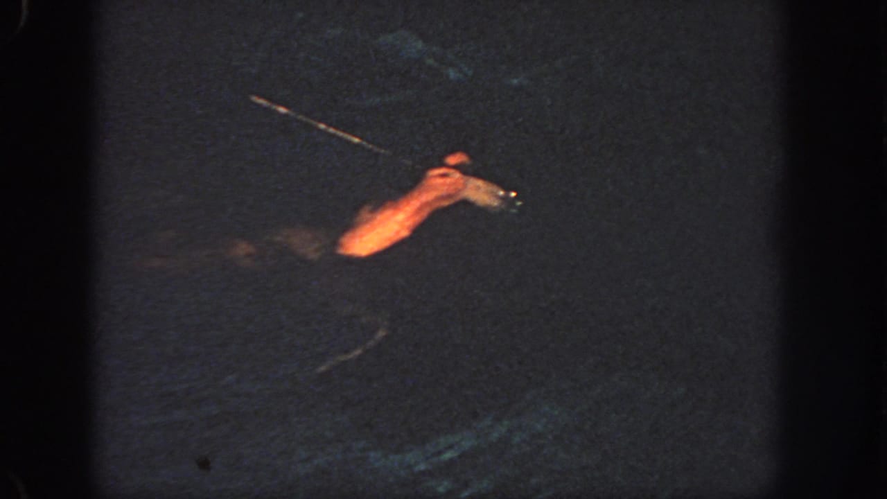 1951 Atlanta 8mm footage shows a swimmer partly visible in dark water, with an arm extended and warm light reflecting near the surface.