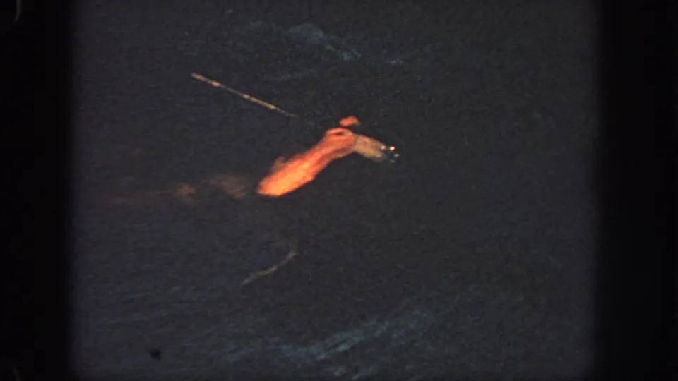 1951 Atlanta 8mm footage shows a swimmer partly visible in dark water, with an arm extended and warm light reflecting near the surface.