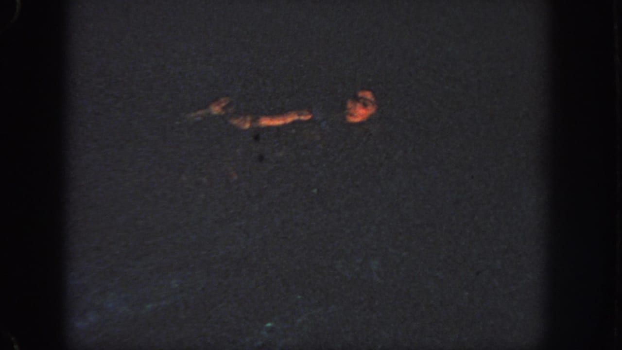 1951 Atlanta 8mm frame showing the swimmer's face and arm faintly visible as they remain partly submerged in dark nighttime water.