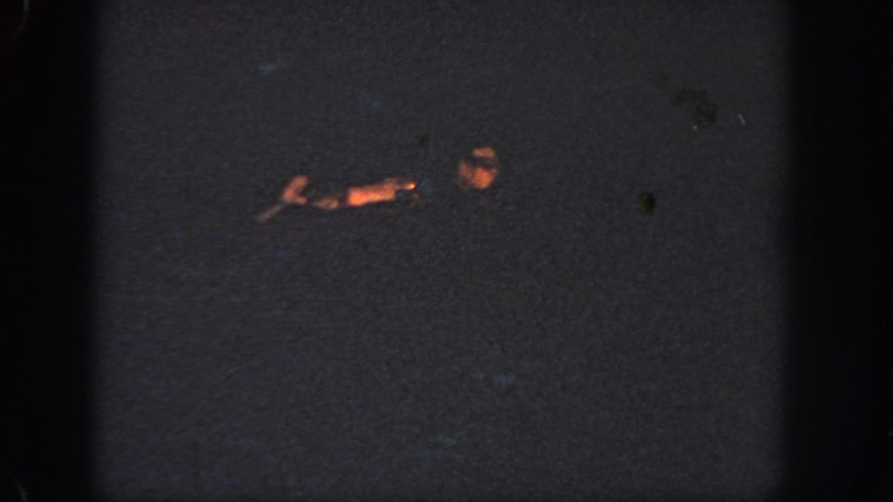Swimmer's head and arm visible against nearly black water.