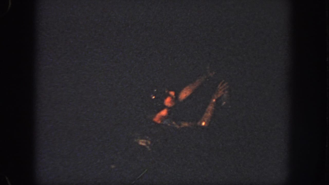 Swimmer at night with arms visible above dark water.