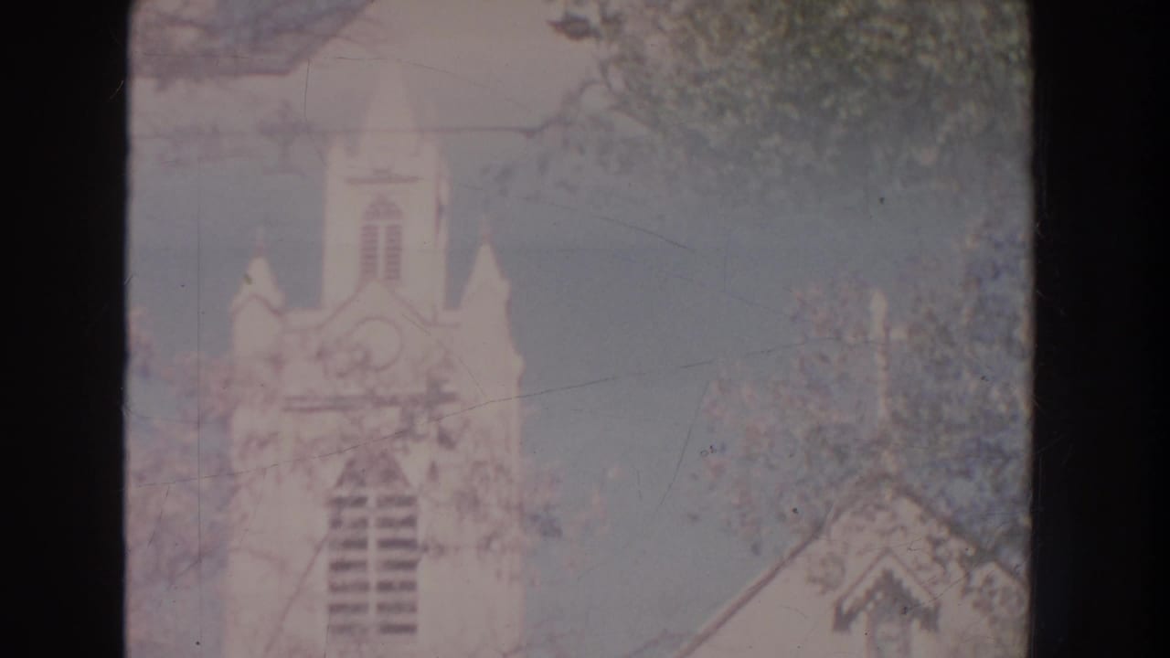 Soft 8mm view of a white church tower partly framed by tree branches.