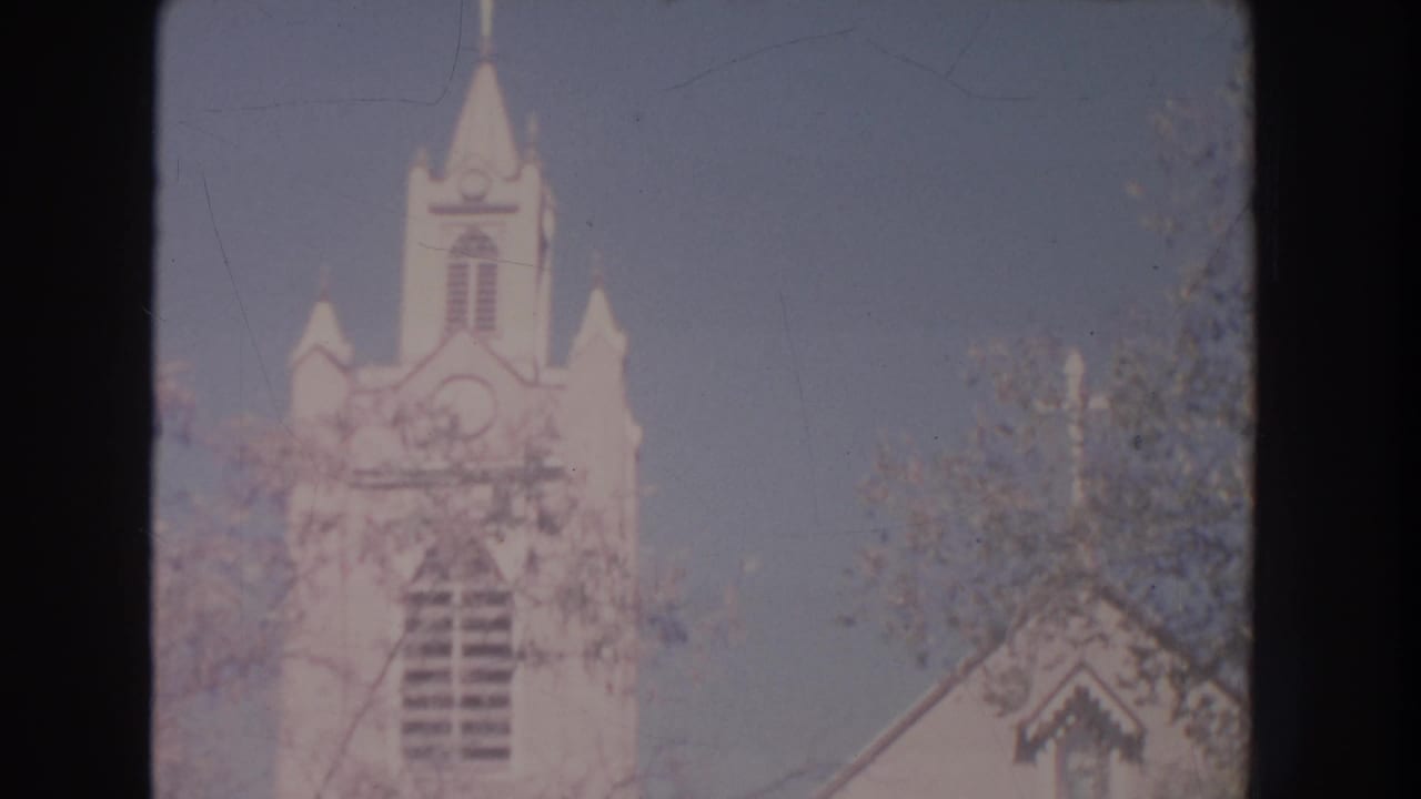 White church steeple and upper facade against blue sky with tree branches nearby.