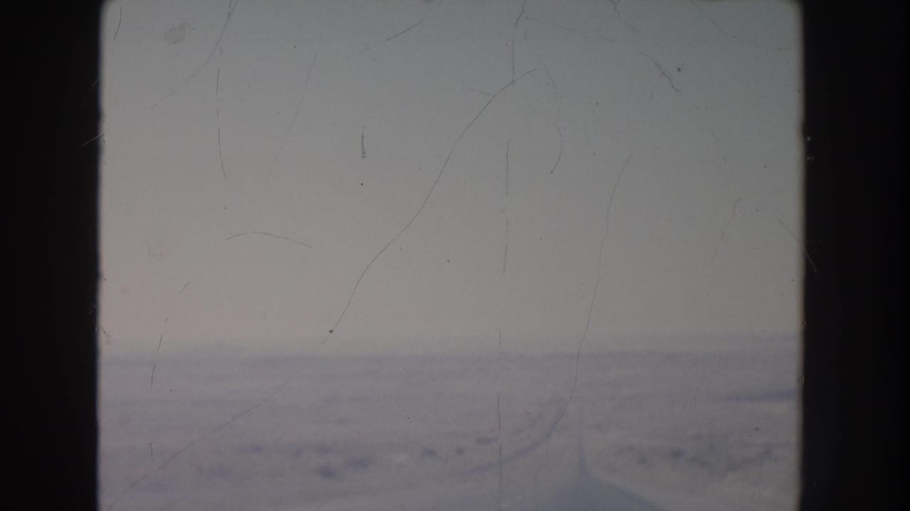 Desert landscape seen through dark vehicle window bars with pale sky and scrubby ground.