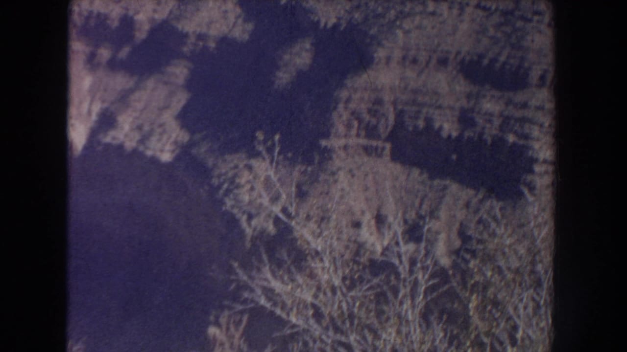 Dark canyon slope with leafless branches and scrub vegetation at the frame edge.