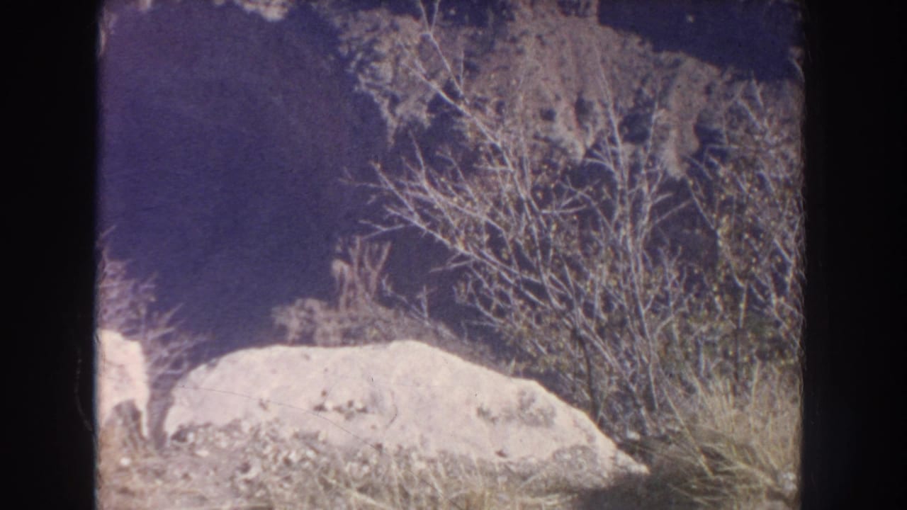 Pale rock and dry brush below a darker canyon wall.