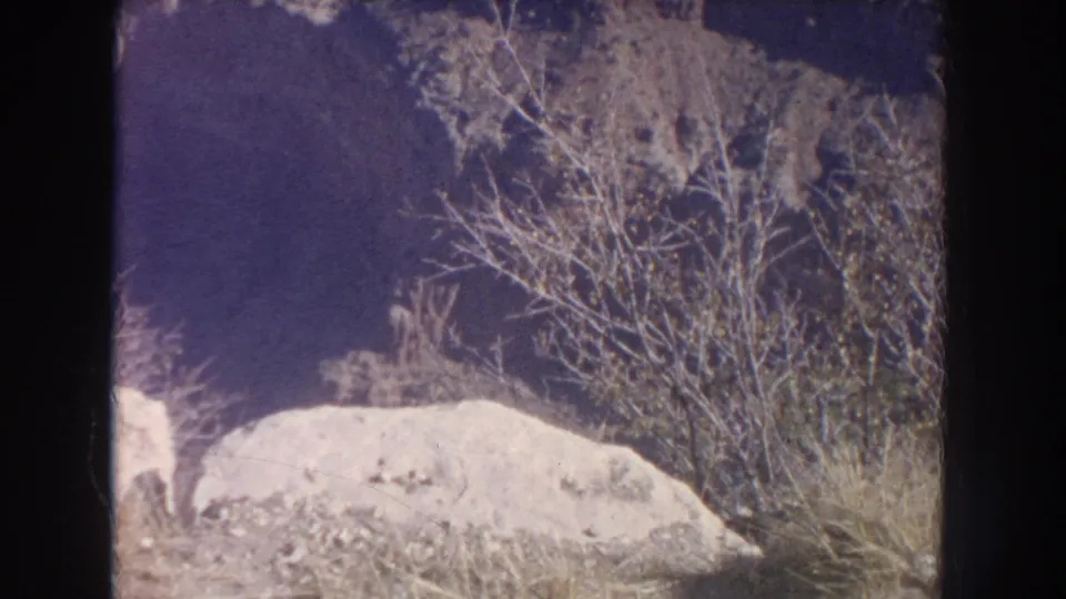 1951 New Mexico 8mm frame with pale exposed rock, dry brush, and a shadowed canyon wall behind it.