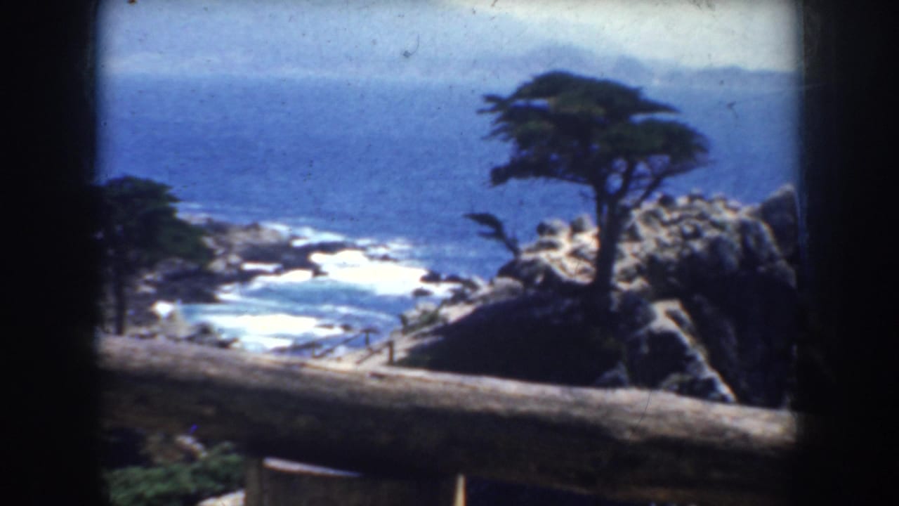 1952 California 8mm frame showing a cypress on a rocky Pacific cliff, with surf below and a wooden overlook railing in front.