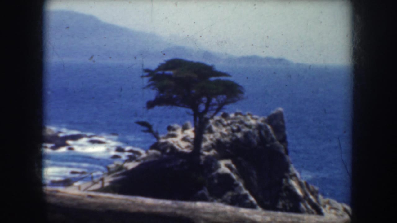 Rocky point with a cypress above the ocean, distant coast, surf, and a wooden rail in the foreground.