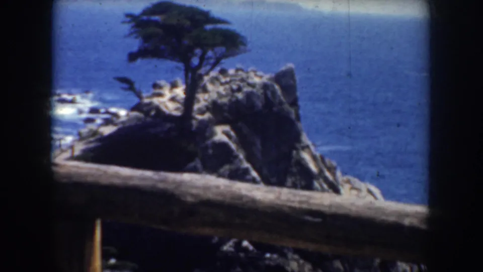 1952 California 8mm frame with the cypress and cliff filling more of the view, ocean water behind, and railing across the foreground.