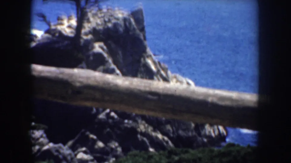 1952 California coastal frame showing jagged rocks, the cypress, and blue Pacific water, with a wooden rail cutting across the foreground.