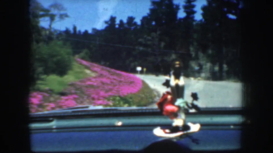 1952 California windshield view showing a curving band of pink flowers, trees, road surface, and a small dashboard figurine in the foreground.
