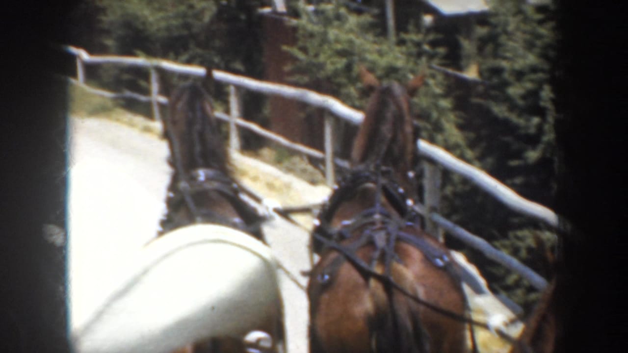 1952 California 8mm view from a horse-drawn carriage, with brown horses, harnesses, rail fences, and greenery along a rural road.