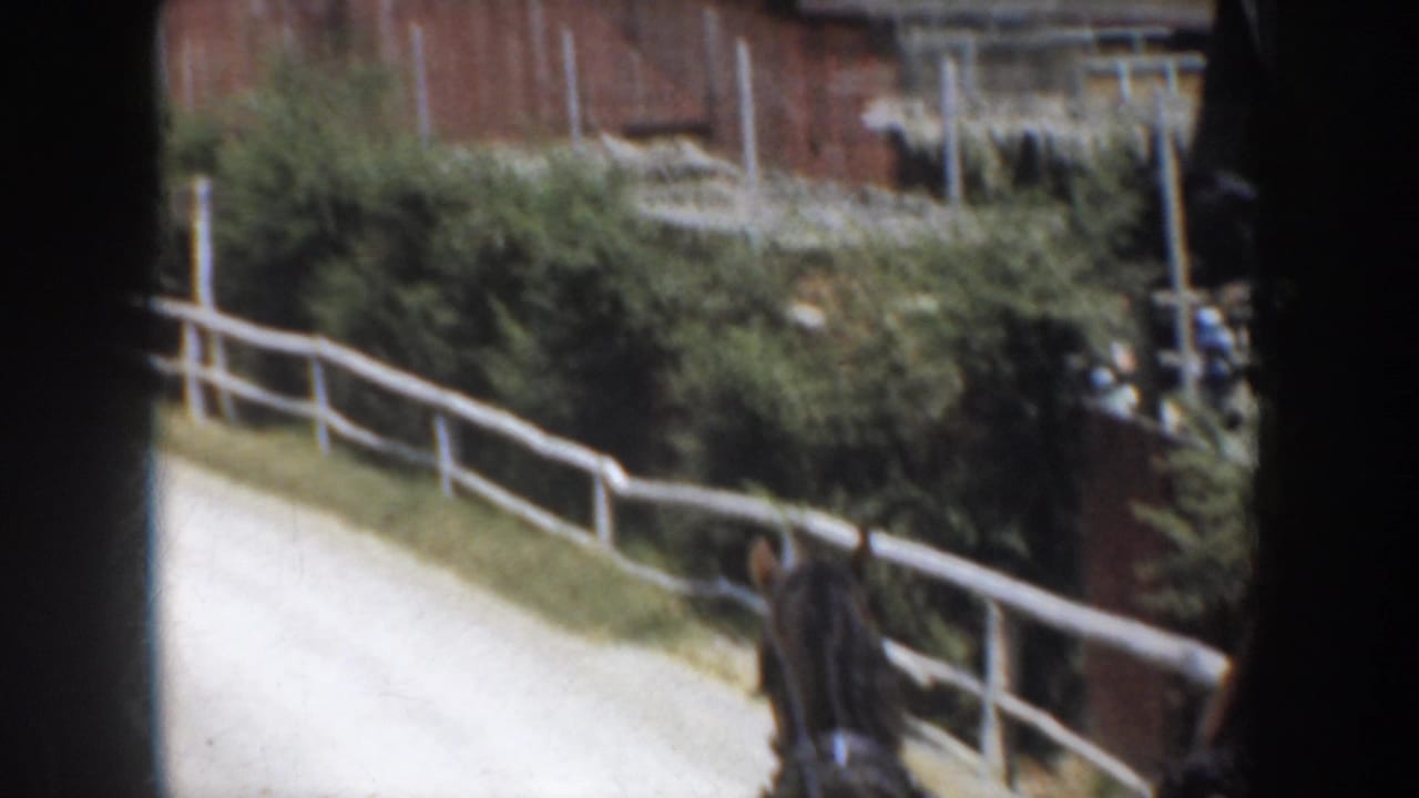 Horses and rail fence passing greenery near a rural building.