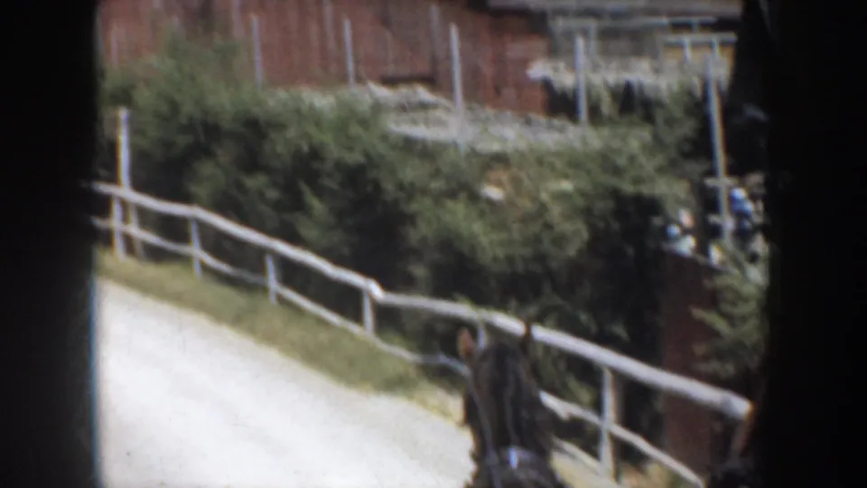 Carriage-mounted 8mm view in rural California, showing horse ears, a fenced road, dense shrubs, and part of a wooden farm building.