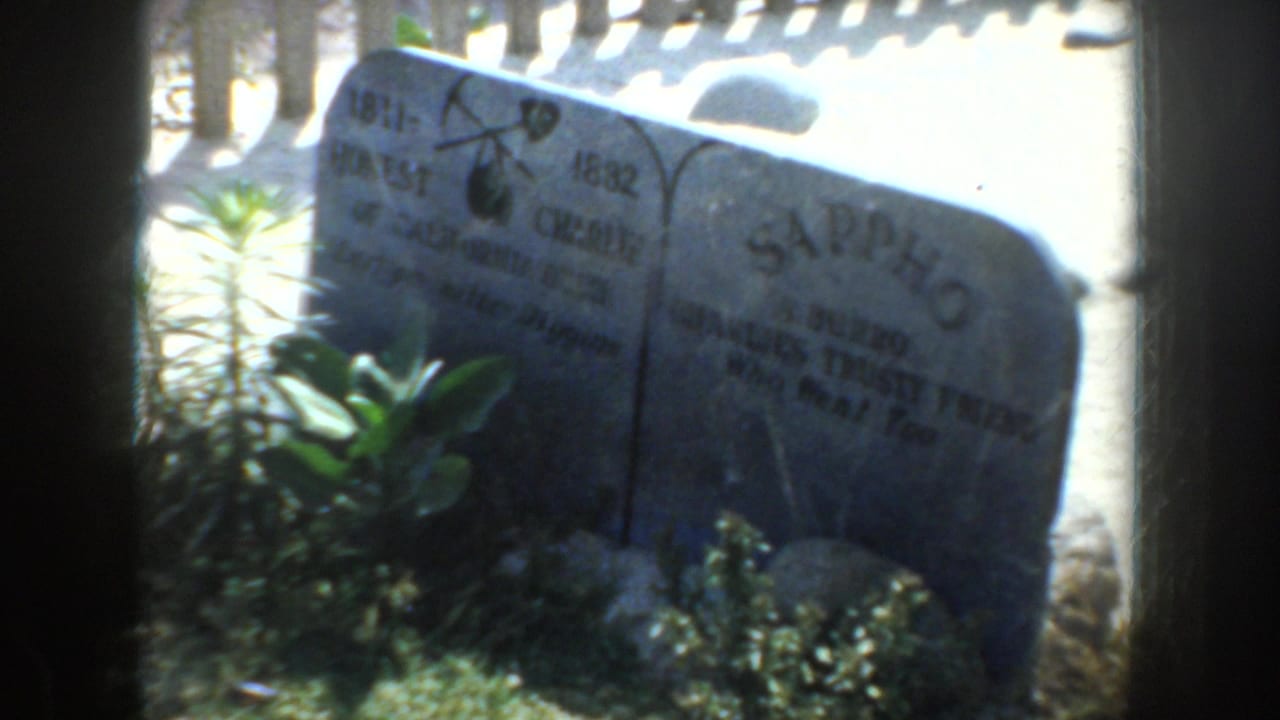Rounded gravestone with Sappho lettering, nearby plants, fence shadows, and bright ground.