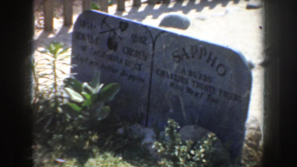 1952 California 8mm frame showing the animal gravestone more closely, with partial Charlie and Sappho inscriptions among low plants.