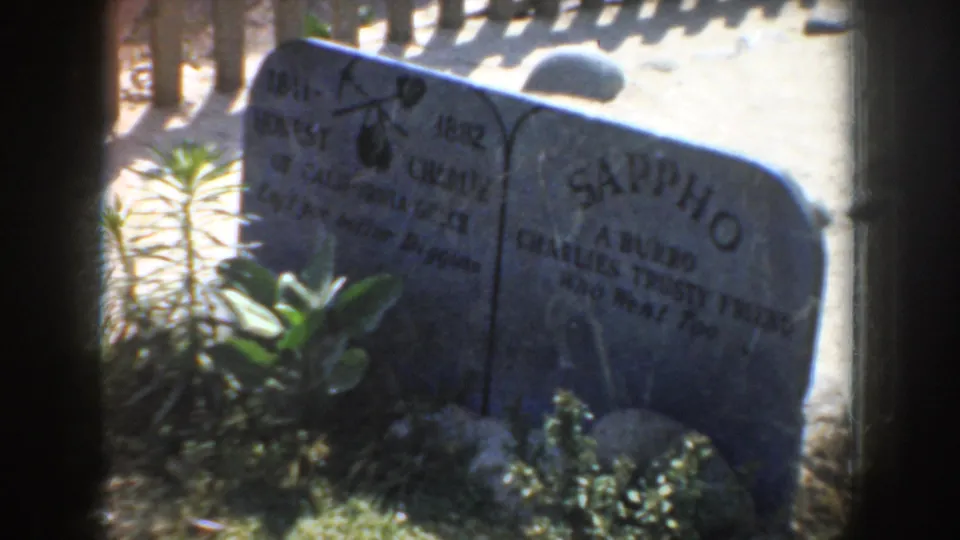 1952 California 8mm frame centered on the Sappho section of the animal gravestone, with greenery and sunlit cemetery ground.