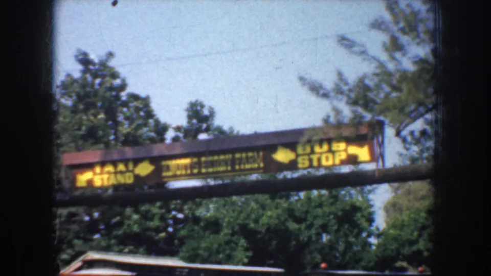 1952 California roadside sign appears to point toward a taxi stand, bus stop, and Jimmy's Berry Farm, with trees and sky behind it.