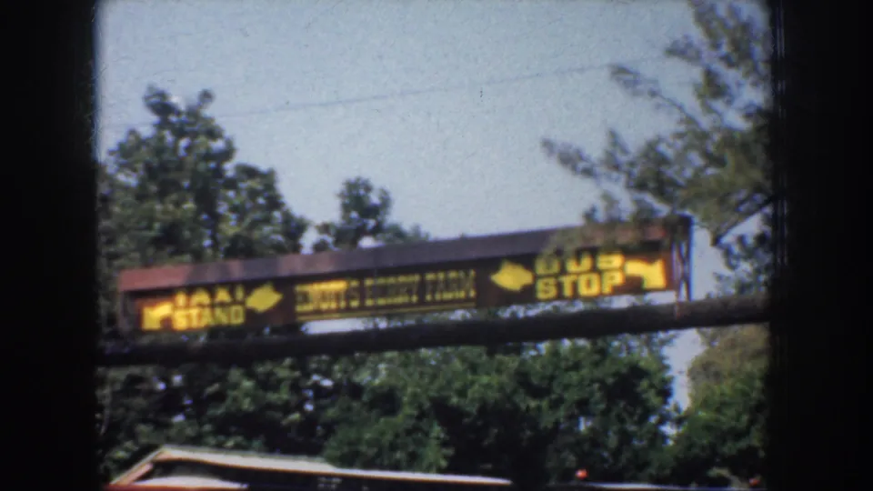 The roadside sign remains in view, showing arrows and text for taxi stand, bus stop, and Jimmy's Berry Farm in 1952 California footage.