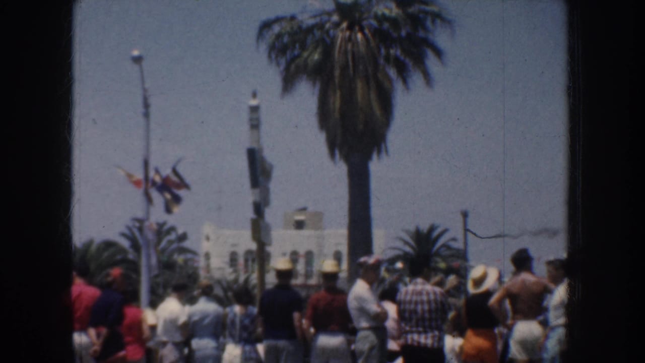 Crowd near palm trees and a white seaside building looking toward the ocean.