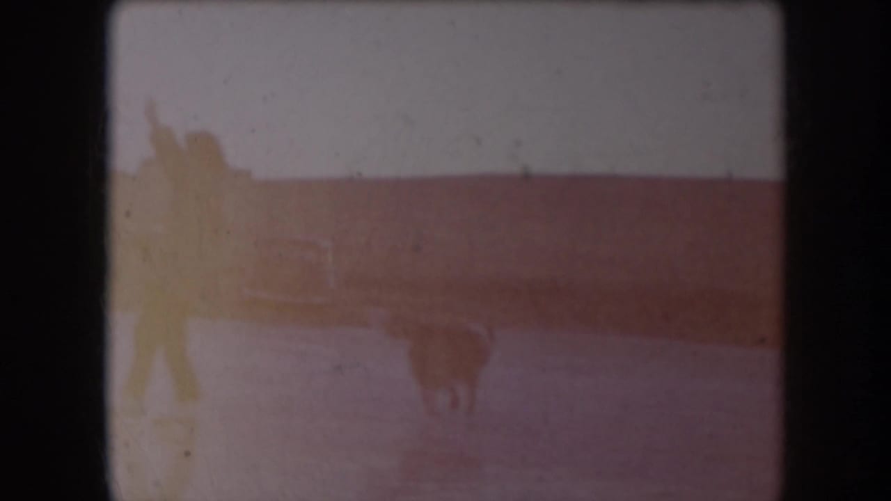 Faded frame with a distant figure or animal on a frozen landscape.