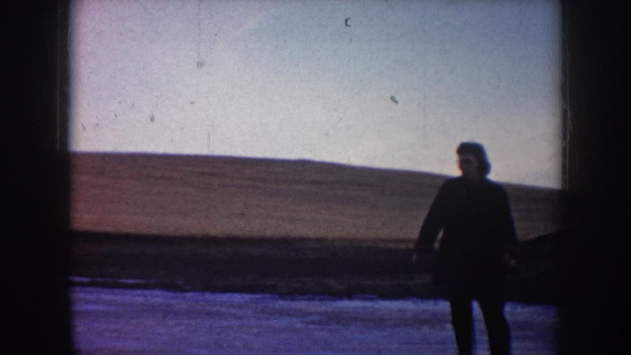 Silhouetted person standing on ice beside a dark dog with open land and pale sky behind.