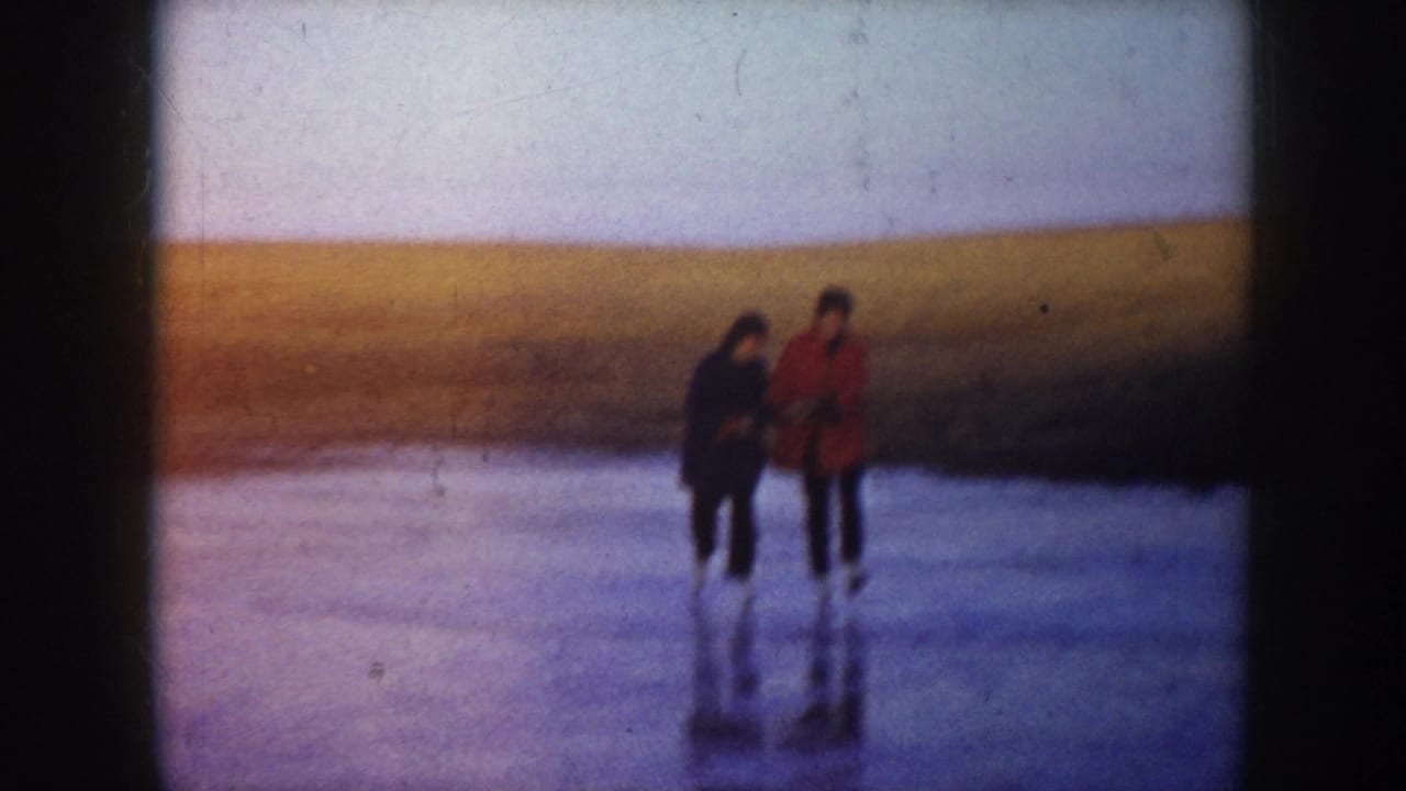 Two adults in winter coats walk or slide together on a frozen lake with an open field behind them.