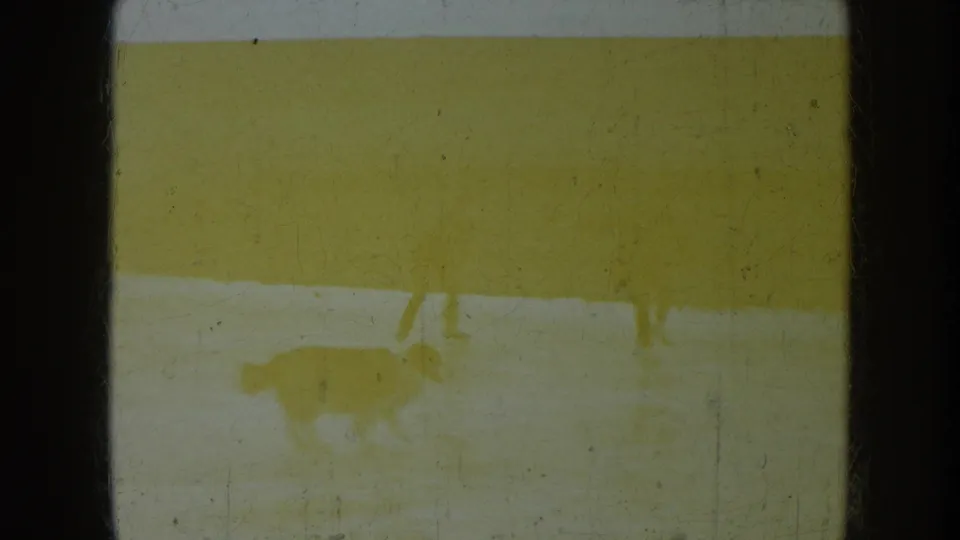 A dog appears in the foreground on the frozen pond, with faint distant figures and open rural land visible through faded 8mm color.