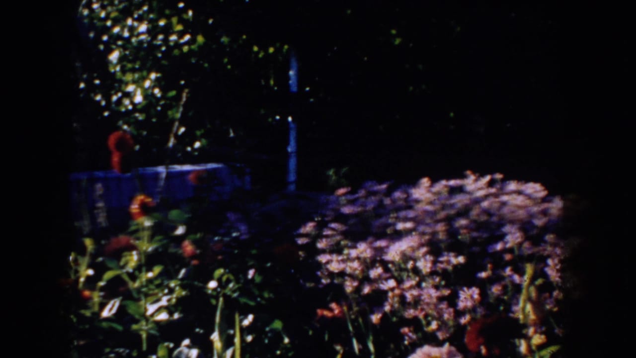 Dim garden bed with purple flowers, red blooms, foliage, and a blue fence-like background.