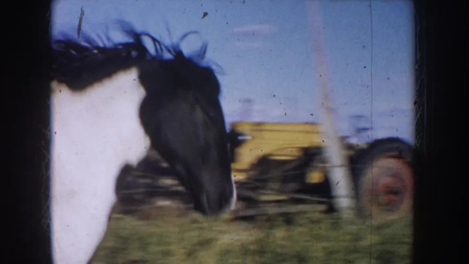 Black and white horse with a dark mane stands in a grassy field near a yellow tractor-like vehicle in 1953 South Dakota home-movie footage.