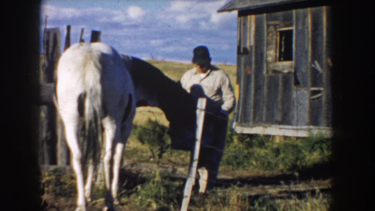 Farmer stands with a bucket near the rear of a white horse by a wooden barn.