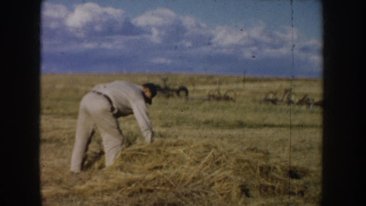 Man in light work clothes bends over loose hay in an open field under a cloudy sky.