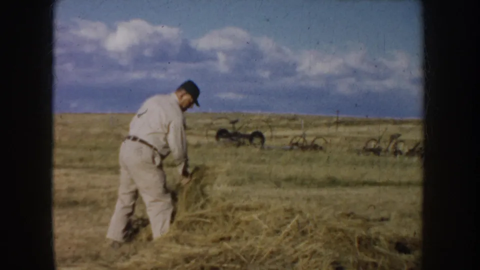 1953 South Dakota frame of a man working with hay in an open prairie field, seen through grainy 8mm film.