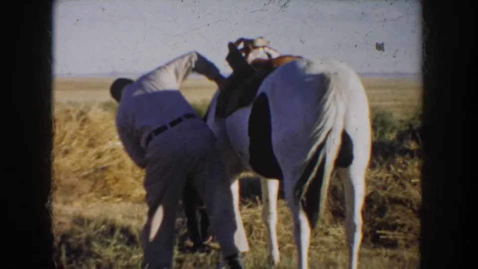 1953 South Dakota frame of a man adjusting a saddle or tack on a white horse with dark markings in open farmland.