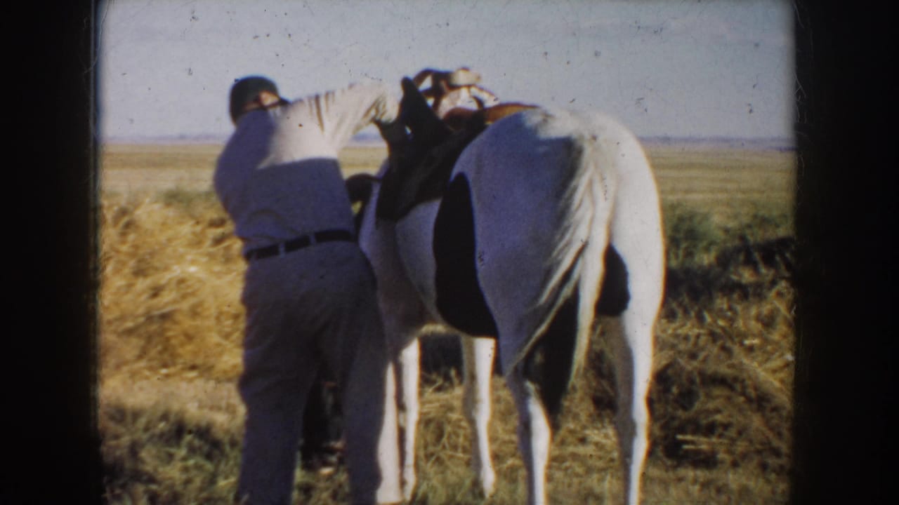 1953 South Dakota home-movie frame showing a man in a light shirt and dark cap working beside a saddled white horse in dry grass.